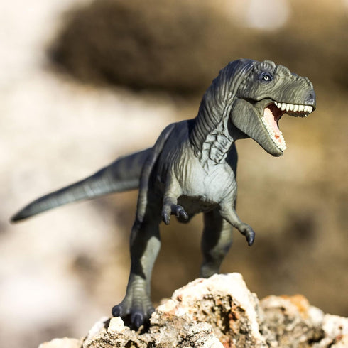 7" 3+ Safari Ltd. Tyrannosaurus Rex Figurine - Detailed Dinosaur Figure - Educational Toy for Boys, Girls, and Kids