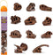 Safari Ltd Dinosaur Skulls TOOB - 11 Mini Figurines Including Velociraptor, Brachiosaurus, and More - Educational Toy