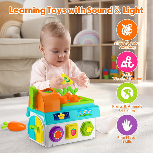 1 1st 1-2 Musical SortingToys for Year Old Boy, First Birthday Boy Girl Gifts Presents, Montessori Educational Learning