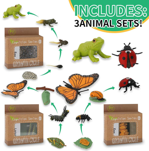 Montessori Life Cycle Learning Toys - Plastic Insect Ladybug, Butterfly & Tadpole-to-Frog Kit for Kids