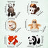 6 Pieces Jungle Animal Plush Toys Forest Stuffed Animals Set, Panda, Little Raccoon, Sloth, Big Tail Squirrel, Fox, Hedgehog Animals for Safari Party Favors Teacher Student Achievement Award