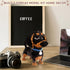 Dachshund Micro Building Block Set, 2100 Pieces Animals Dog Mini Bricks Kit, Cute Birthday Gifts for Adults and Teens