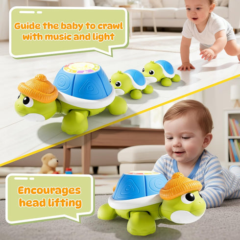6-12 6,7,8,9-12 BLF FUN Baby Toys Months, Musical Turtle Crawling Toys with Mama and Babies, Baby Learning Toys