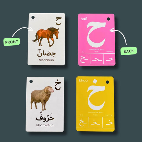 Albidaya Islamic Store Arabic Alphabet Flash Cards for Kids Toddler and Adults, Arabic First Words, Letter Recognition