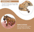 4pcs Hyena Learning Imitation Props, Realistic Animal Figurine Models for Cognitive Learning