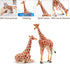 Toymany 4PCS Realistic Giraffe Figurines Playset - Includes Giraffe Cub, Educational Toy for Kids