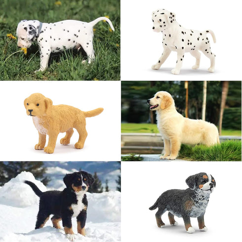 Toymany 12PCS Mini Dog Figurines Playset, Realistic Detailed Plastic Puppy Figures, Hand Painted Tiny Dogs
