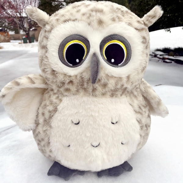Ryttir 15.7 Inch Chubby Snowy Owl Stuffed Animal, Adventure Stuffed Owl Plush