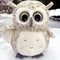 Ryttir 15.7 Inch Chubby Snowy Owl Stuffed Animal, Adventure Stuffed Owl Plush