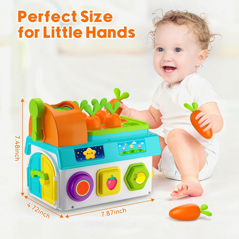 1 1st 1-2 Musical SortingToys for Year Old Boy, First Birthday Boy Girl Gifts Presents, Montessori Educational Learning