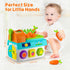 1 1st 1-2 Musical SortingToys for Year Old Boy, First Birthday Boy Girl Gifts Presents, Montessori Educational Learning