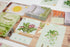 Buffalo Games - Nurture Your Garden Strategy Game