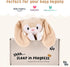 Riff Raff Baby Sleep Toy Soother - Musical Plush Bunny with White Noise & Lullaby - Lovey Security Blanket for Newborns
