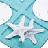 Sumind Tic Tac Toe Game - Beach House Decor Wood Coastal Board Game for Home Beach Starfish Decor (Blue)