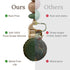 100% Silicone Pacifier Clip Metal-Free, Rust-Free, Food-Grade Silicone and Natural Beech Wood, Secure Pacifier Holder