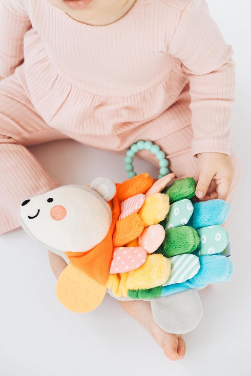 Pearhead 0m+, Hedgehog Sensory Toy, Plush Lovey with Crinkle Tabs and Silicone Teether for Babies Infant Development