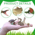 12PCS Realistic Reptile Animal Figurine Set,Cold Blooded Amphibians Wild Animal Figures Toy with Lizard Komodo Dragon Snake Alligator for Kids and Toddlers 3+