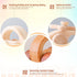 Wooden Baby Car Toys - Montessori Push Car for Toddlers, 2 Pieces, Gifts for Boys and Girls, Push and Pull Toy
