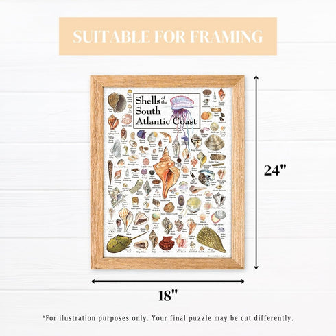 550 18" 24" Heritage Puzzle - Shells of The South Atlantic Coast by John & Jackie Leatherbury Douglass Piece Puzzles