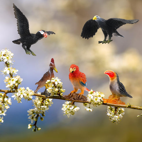 Realistic Bird Figurines, 24pcs Eagle, Parrot, Robin, Owl Toys, Educational Dollhouse Accessories, Birthday Cake Topper