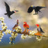 Realistic Bird Figurines, 24pcs Eagle, Parrot, Robin, Owl Toys, Educational Dollhouse Accessories, Birthday Cake Topper