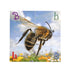 Really Good Stuff Alphabet Photo Puzzles