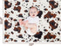 26.5 40 Inches Cow Baby Blanket for Boys Girls Soft Fleece Minky Blanket with Dotted Backing Double Layer Newborn