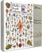 Heritage Puzzle - Shells of The South Atlantic Coast by John &