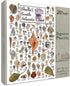 Heritage Puzzle - Shells of The South Atlantic Coast by John &