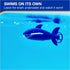 SwimWays Zoomimals Shark Toy, Kids Pool Accessories & Diving Toys for Ages 5 & Up, Swimming Pool Fun