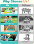 Playset Sets 3-5 Sandbox Kit Sand Table : Sand Bin with Lid Toys Toddler Dinosaur/Ocean Molds Enhance Creativity