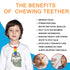 Children,5 Pack Sensory Chew Necklace, SLGOL Rinbow Color Silicone Chew Pendant Training and Development Fidget Toy