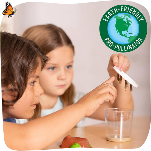 18 Inch 5 Insect Lore Giant Butterfly Garden with Voucher | Habitat | Life Cycle Figurines Included | Voucher to Redeem