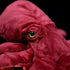 ZHONGXIN MADE Simulation Octopus Plush Toy, 18 Inch Red Soft Real Life Octopus Stuffed Animal for Children