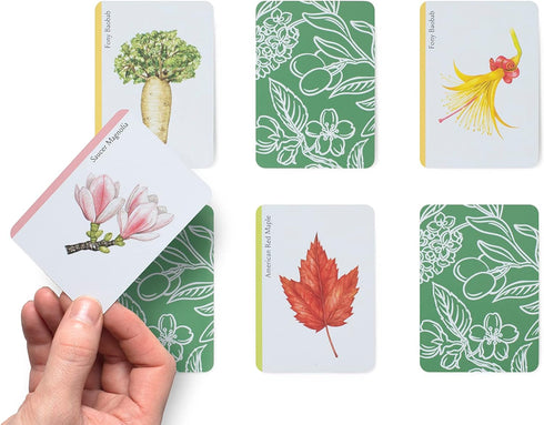 Laurence King Tree Families: A Botanical Card Game - Happy Families Card Game for All Ages.