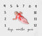 Baby Milestone Blanket Month to Month Photography Props - Extra Large 52 x 47 inch Monthly Age Blankets Create Personalized Photos for Each Month by Kiddo Kind