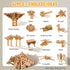 GLCforever 15 1 -15+ 3D 5+ in STEM Wooden Building Blocks Shapes, Puzzle, Logic Brain Games, Educational Toys Gift