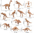 UPINS 30 Pack Dinosaur Fossil Skeletons, 3.7 Inch Assorted Dinosaur Skeleton Toy Figures for Science Play Dino Party