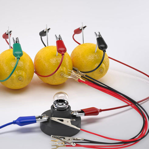 ULTECHNOVO Fruit Battery Science Experiment Kit, 5 Sets Potato Science Educational Kit