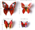 24pcs 3D Vivid Special Man-Made Lively Butterfly Art DIY Decor Wall Stickers for Nursery Decoration