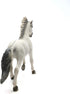 13915 - Sorraia Mustang Stallion