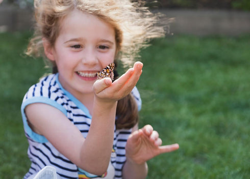 10 Insect Lore Two Cups of Live Caterpillars - Live Painted Lady Caterpillars with Food - Includes Bonus Butterfly Life