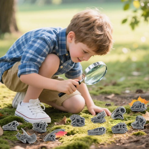 LC JoyCre Mini Grey Dinosaur Bones for Kids Sandbox Toys - Realistic Fake Dinosaur Bones for Kids to Dig Up
