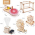 STEM Toys Wooden Building Kit for Kids Ages 8-12, Physics Science Wood Craft Set for DIY Projects