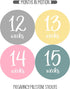Pregnancy Weekly Belly Growth Stickers - 36 pcs Purple Pink, Matte Finish for Maternity Photo Sessions