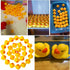 DZTIAN 51-Pieces Float & Squeak Mini Rubber Duck Baby Bath Ducky Sound ShowerToys for Kids Celebrate The Joy of The