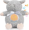 BEREST Baby Sleep Soother with Projector Night Light & Auto-Off Timer, Musical