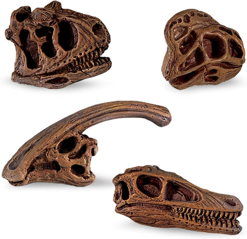 Safari Ltd Dinosaur Skulls TOOB - 11 Mini Figurines Including Velociraptor, Brachiosaurus, and More - Educational Toy