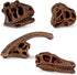 Safari Ltd Dinosaur Skulls TOOB - 11 Mini Figurines Including Velociraptor, Brachiosaurus, and More - Educational Toy