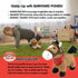10 Cuddle Barn Gallop The Musical Horse | Animated Plush Toy | Gallops, Trots, and Sings Giddy Up, Lil Cowboy | Stuffed